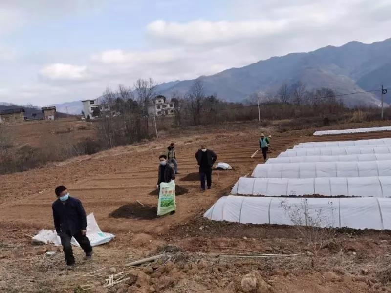 【纪检人·镜头】旬阳:做实做细监督 保障有序复工复产