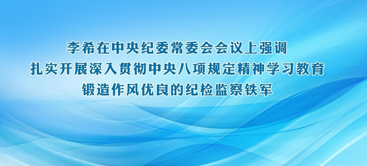 李希在中央纪委常委会会议上强调